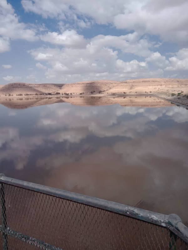 صورة الخبر